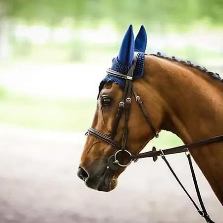 Confortable Pres De Saumur : 2 Chambres, Jardin Clos, Terrasse, Proche Sites Touristiques - Fr-1-622-4 Брен-сюр-Аллонн