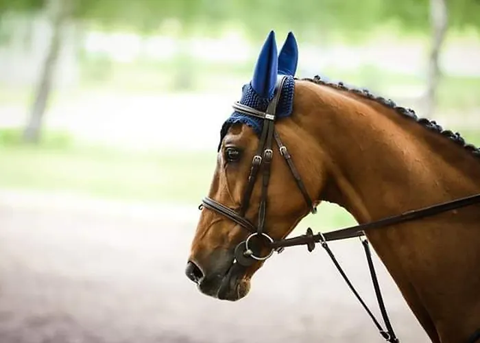 Confortable Pres De Saumur : 2 Chambres, Jardin Clos, Terrasse, Proche Sites Touristiques - Fr-1-622-4 阿洛讷河畔布兰